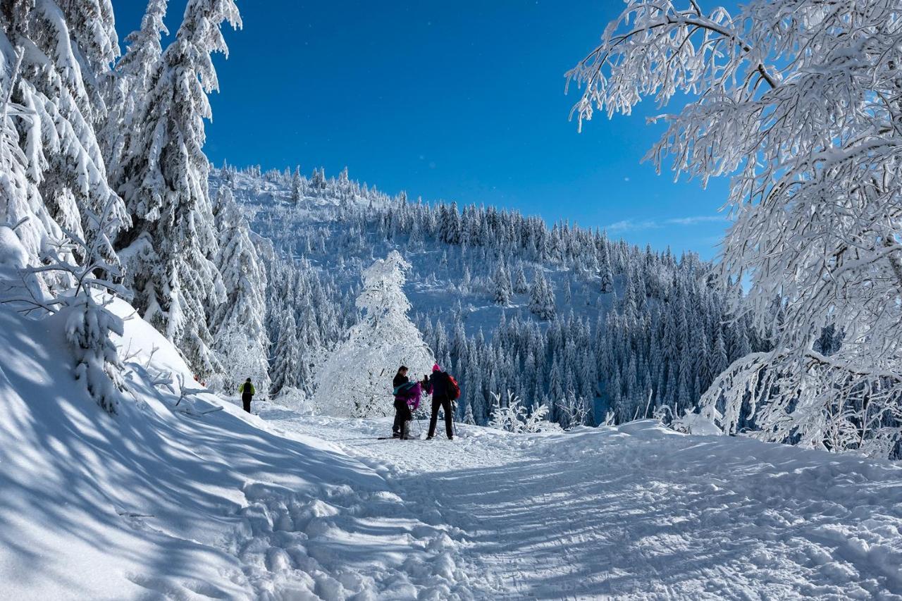 Stara Zvonica Otel Nizna Boca Dış mekan fotoğraf
